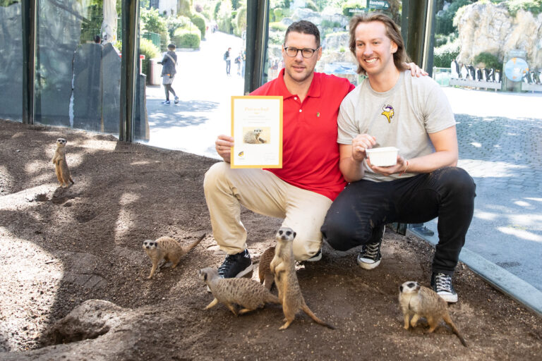 Vikings Quarterback Erdmann übernimmt Patenschaft für Erdmännchen im Tiergarten Schönbrunn