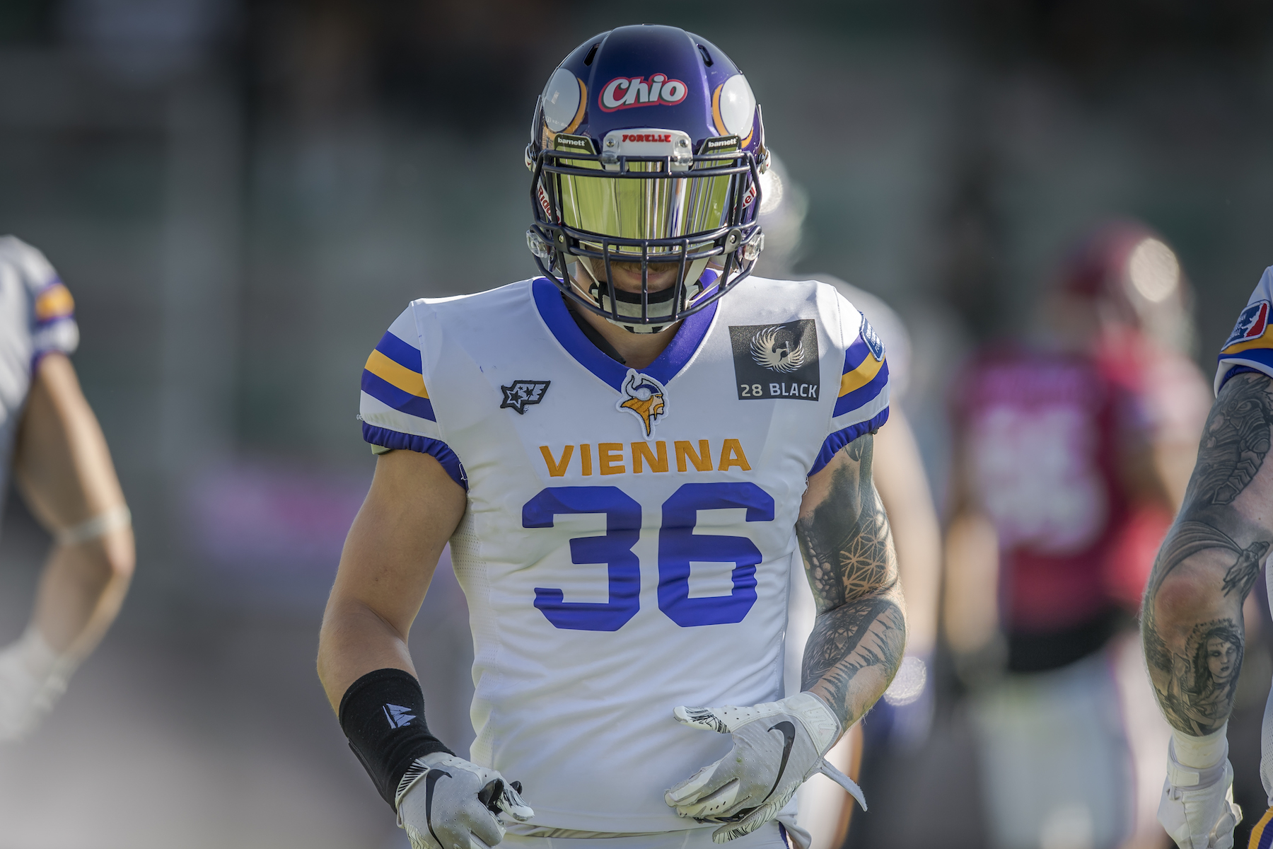 Tartarotti und Wimmer verlängern bei den Vienna Vikings in der European League of Football